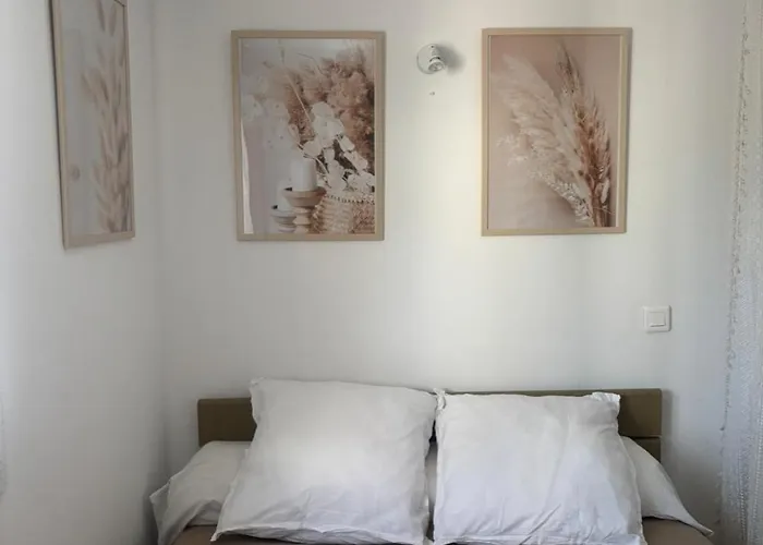 Apartment Tiny House A 50m De La De Miomo *