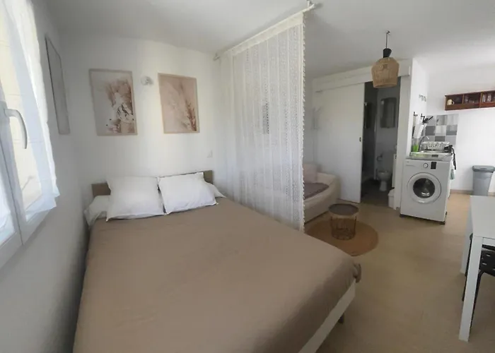 Tiny House A 50m De La De Miomo Marine du Miomo